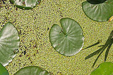 《潜行者2》全新ASMR视频 展示天气和时间变化